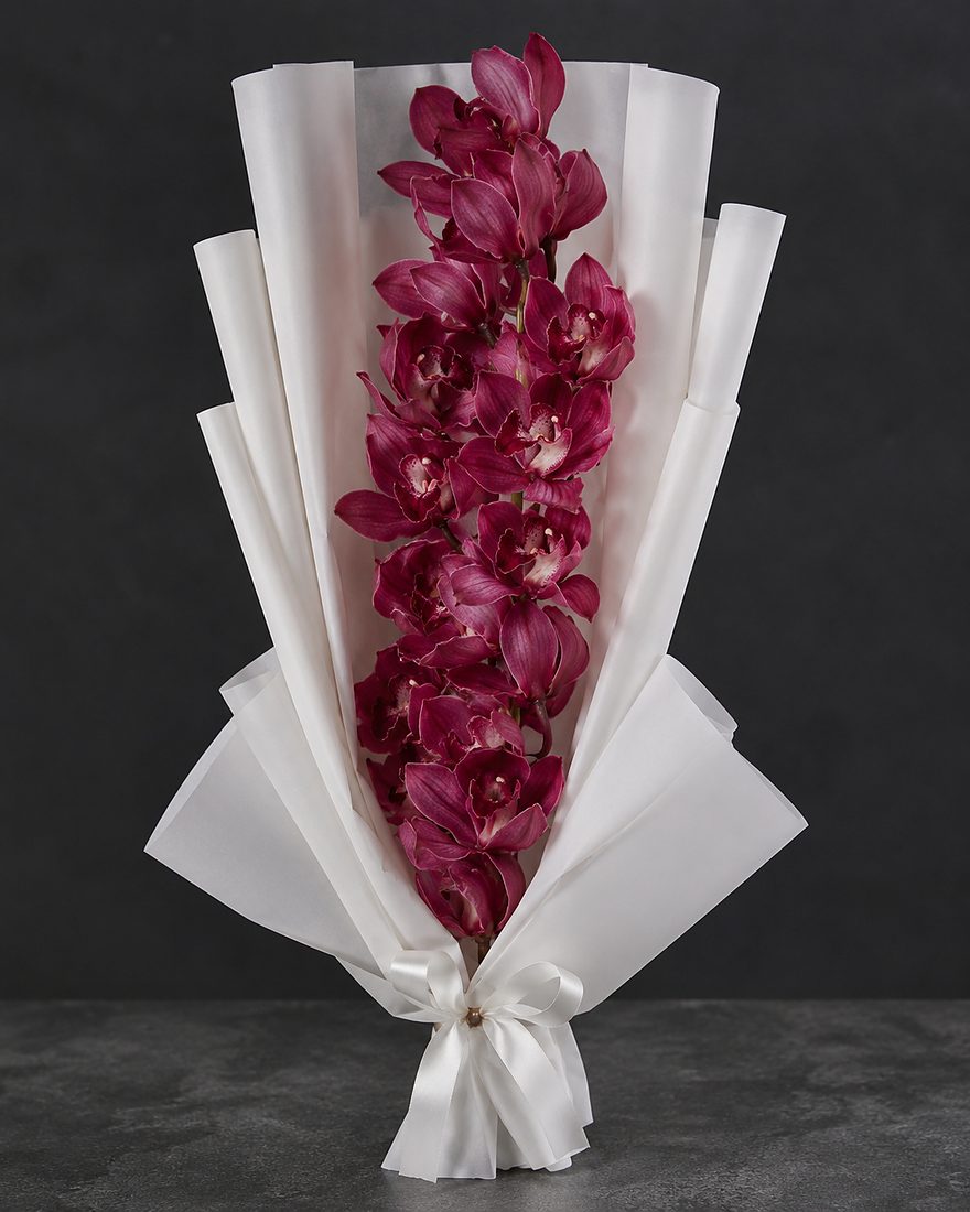 Orquídeas premium